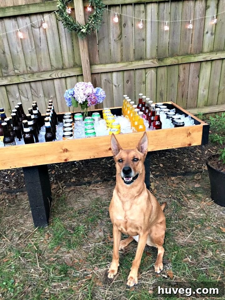 Charlie, the dog, welcomes guests to the DIY outdoor drink station party