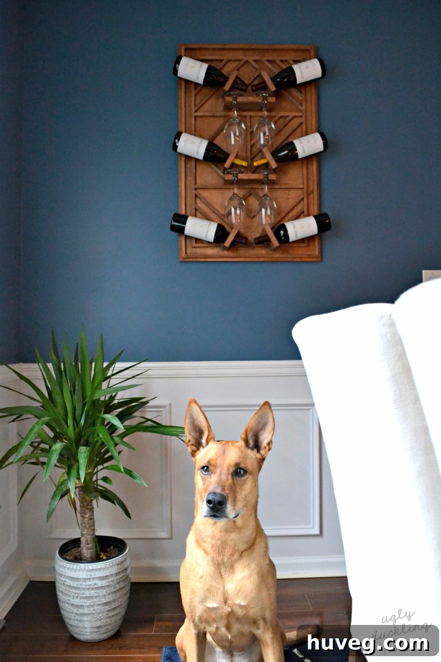 Charlie, the project supervisor, inspecting the new plywood wine rack
