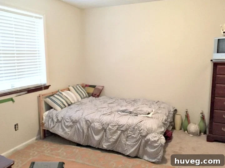 guest bedroom before - front wall