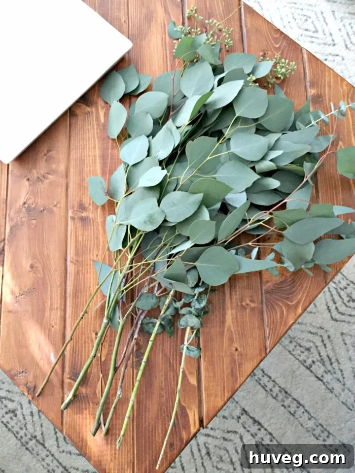 seeded eucalyptus