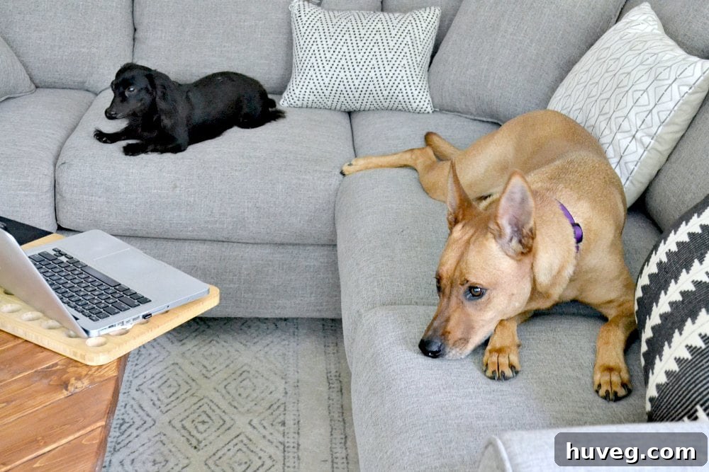 everyone is figuring out how to sit comfortably on the new couch