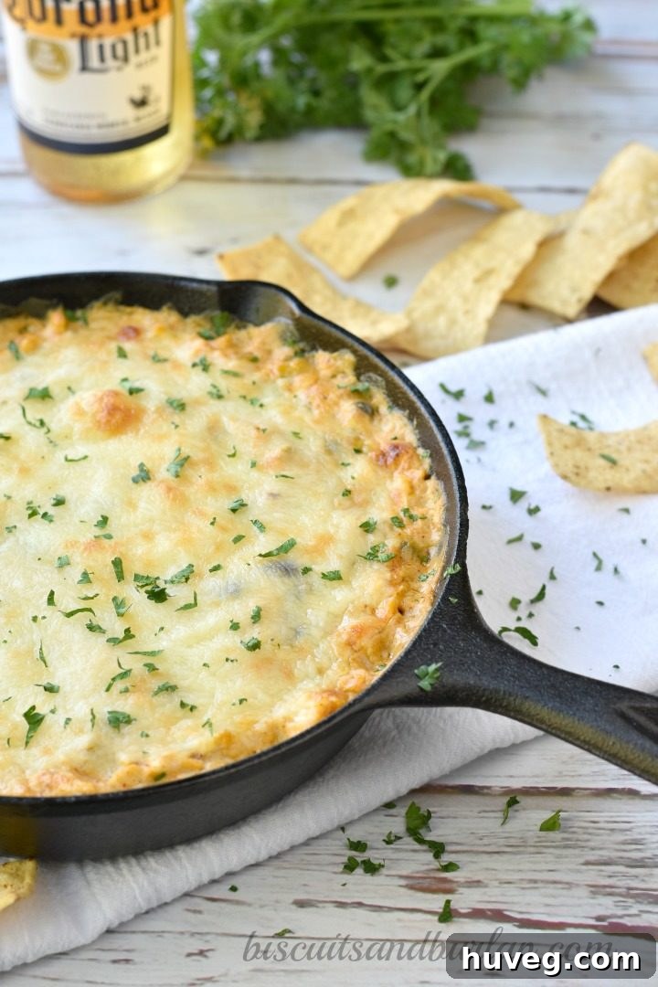 Cheesy Chicken Enchilada Dip in a cast iron skillet