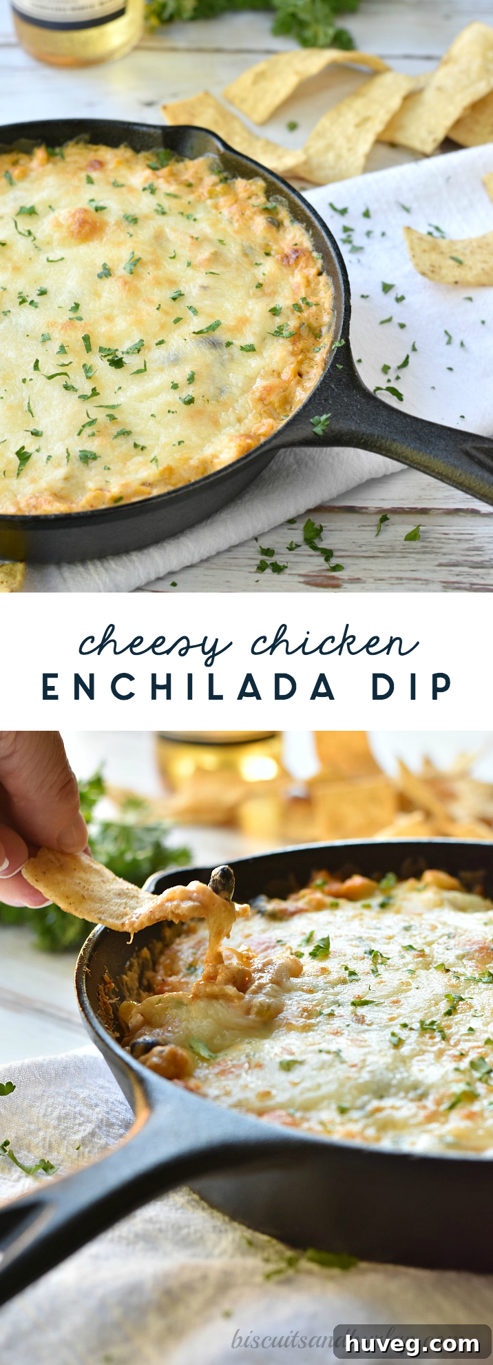 cheesy chicken enchilada dip on a serving board