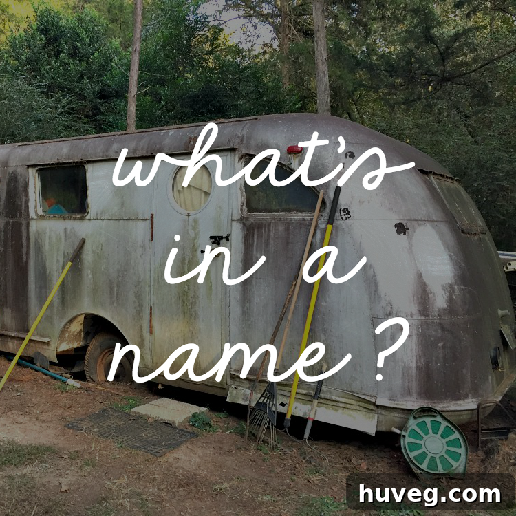 A sketch of the vintage Spartan Manor travel trailer with a thought bubble asking for name suggestions.