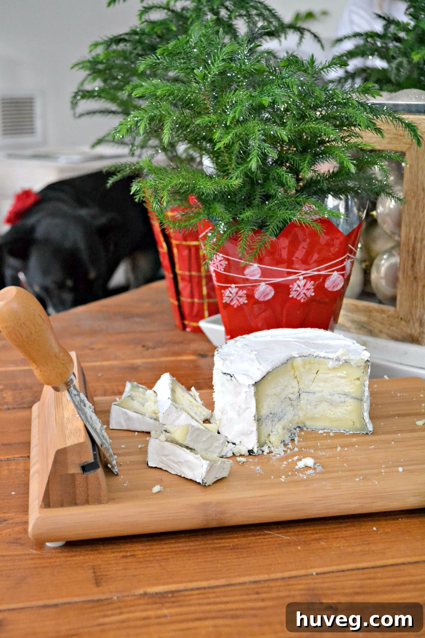 A close-up of a delicious wedge of Humbolt Fog Cheese, ready for holiday feasting.