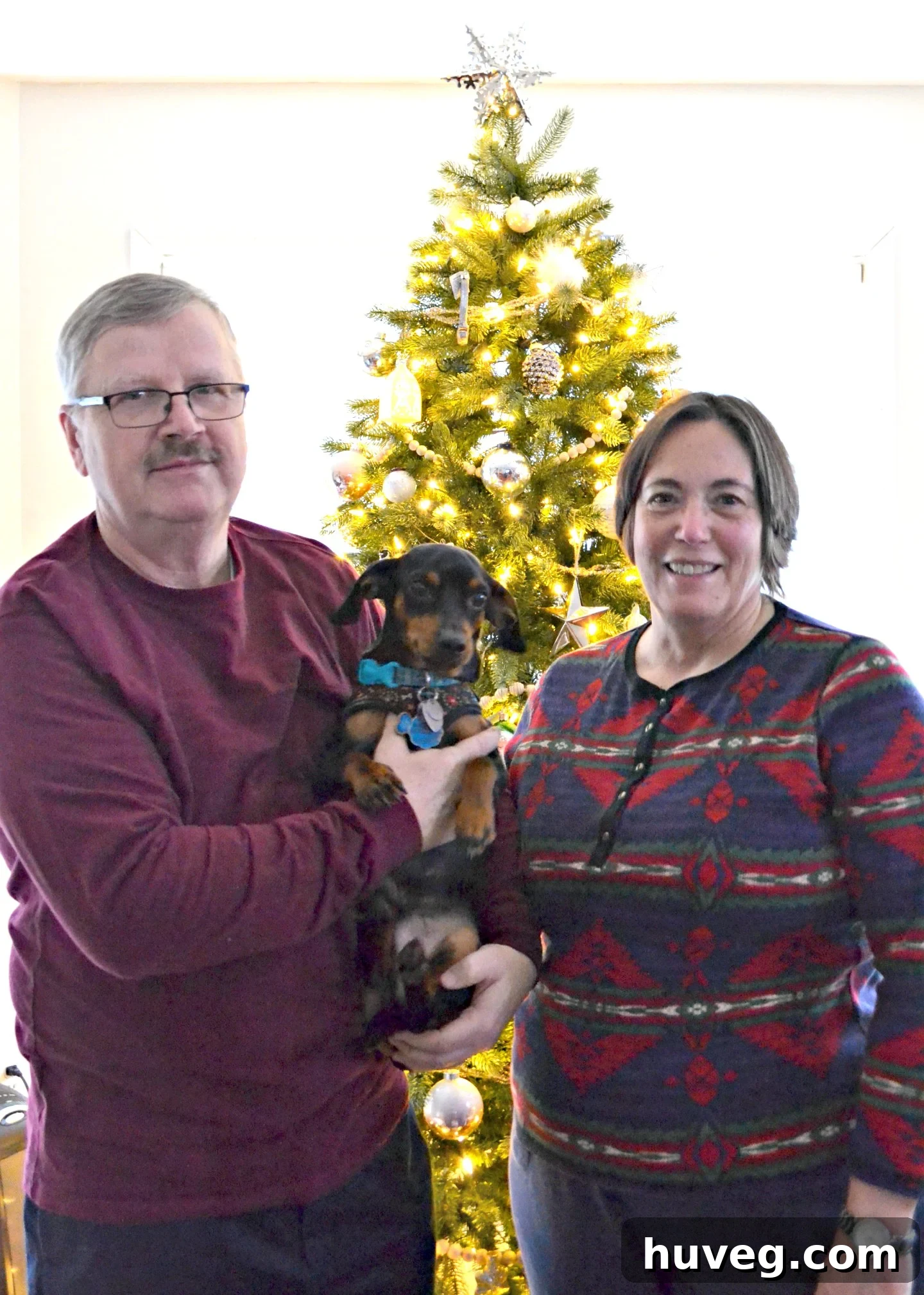 Mom and Dad, with their dog Buddy, posing for a heartwarming Christmas family photo.