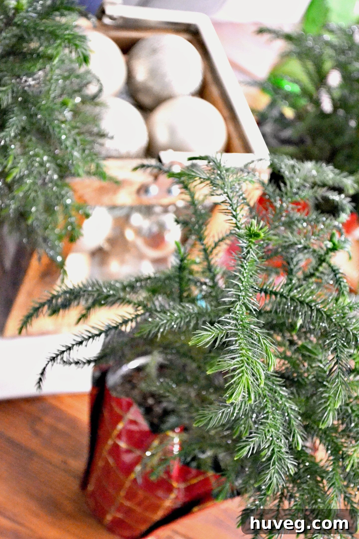 A charming close-up of plants adorning the coffee table, adding a touch of greenery to the festive decor.