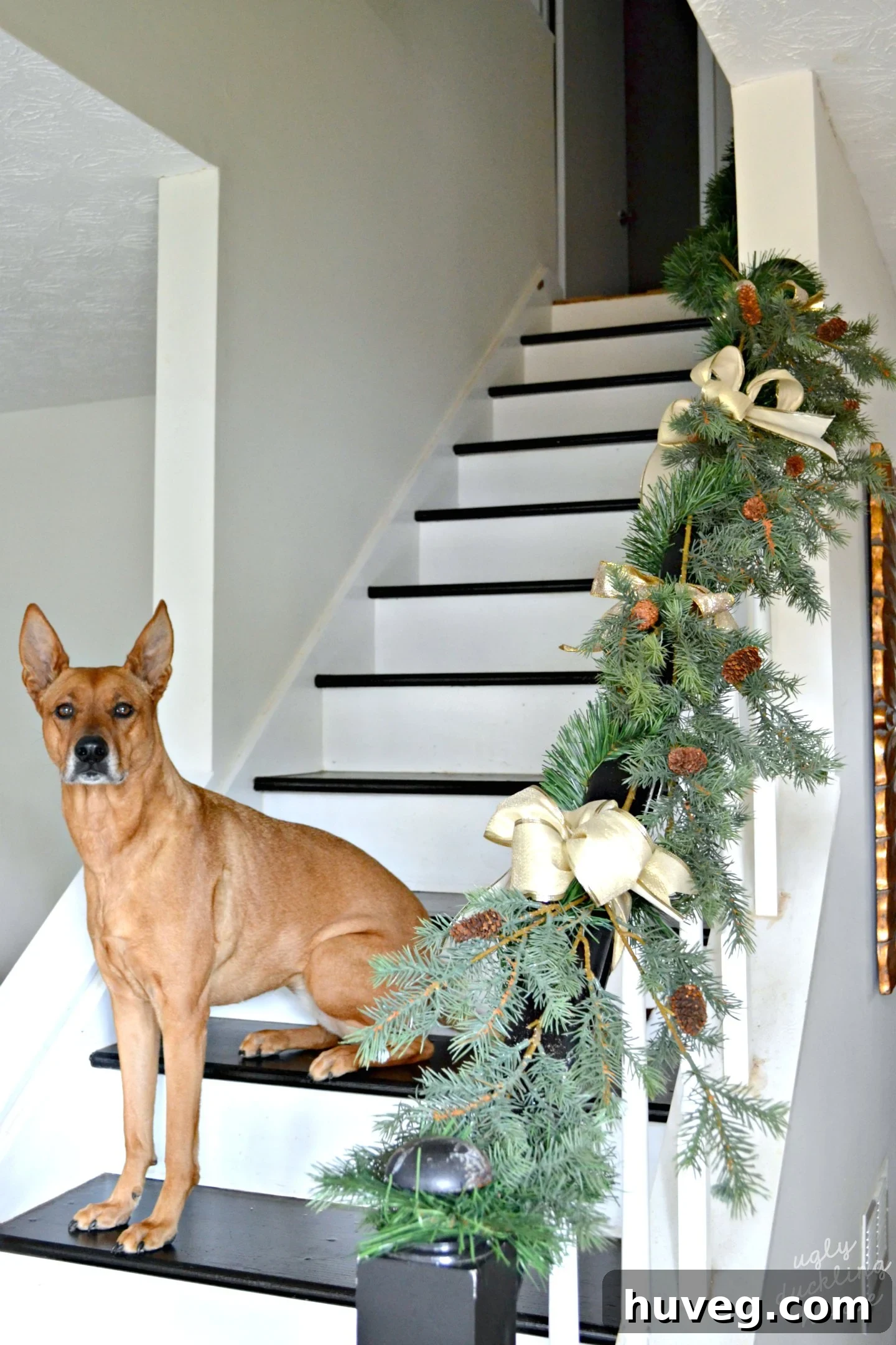 Charlie, a black and white dog, sitting patiently on the newly renovated Christmas stairs, decorated for the holidays.
