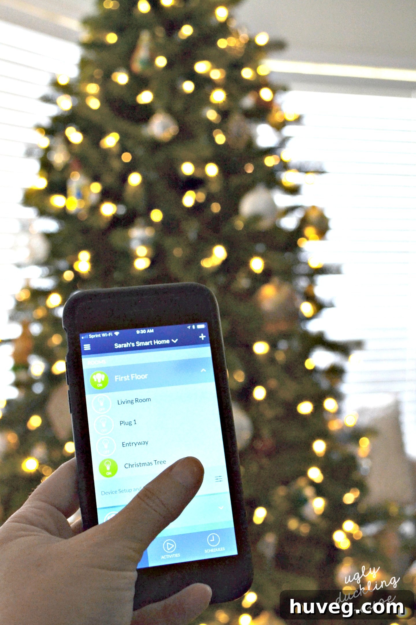 Using Leviton app to turn on Christmas tree