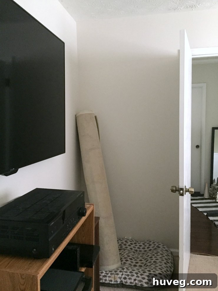 inside corner behind wall - guest bedroom - guest room
