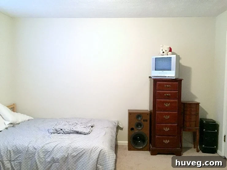 murphy bed wall before - guest room