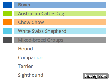 Charlie's ancestry breed mix percentages