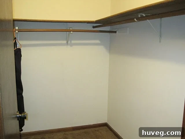 before closet organization