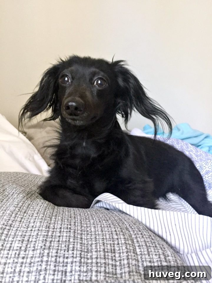 Stella just being Stella