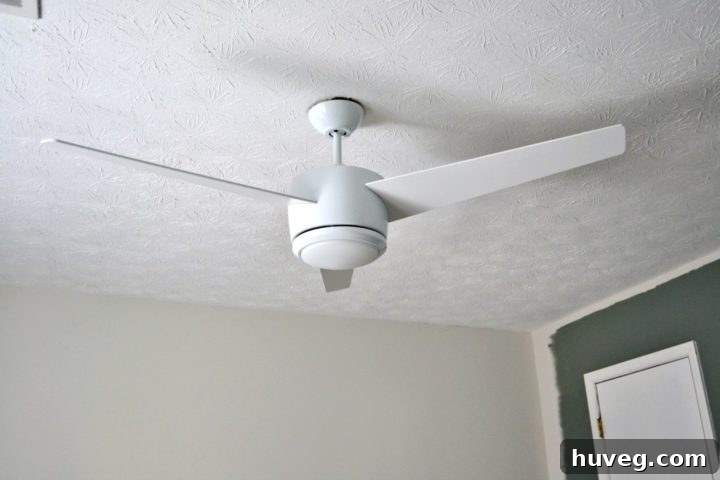 new ceiling fan