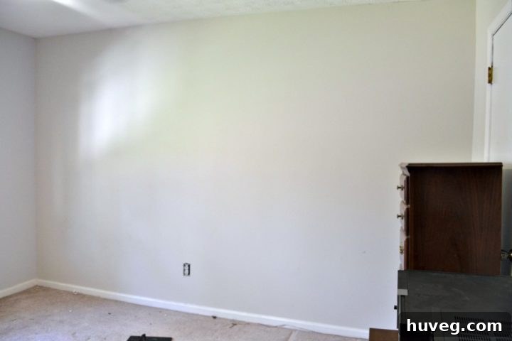 wall for future murphy bed