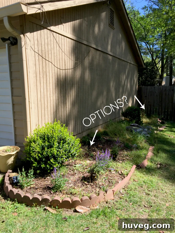 Garage side of the house options, showing a problematic narrow garden space awaiting a design solution