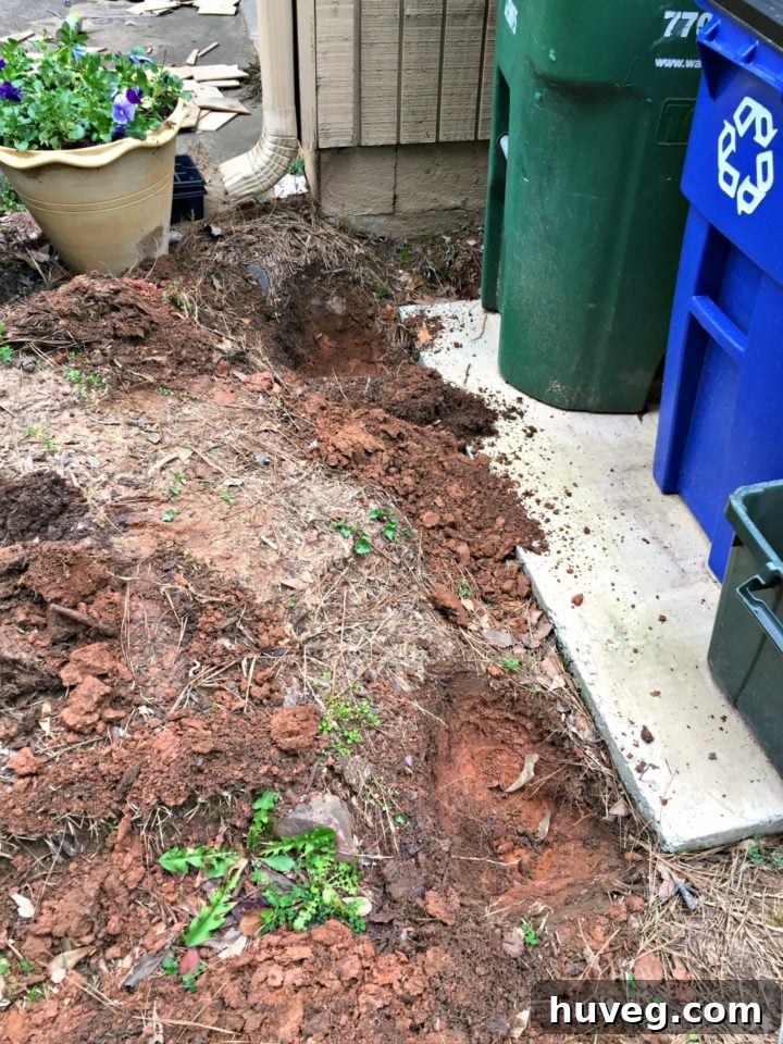 Digging the wood screen into the ground, illustrating the installation process of an outdoor privacy feature