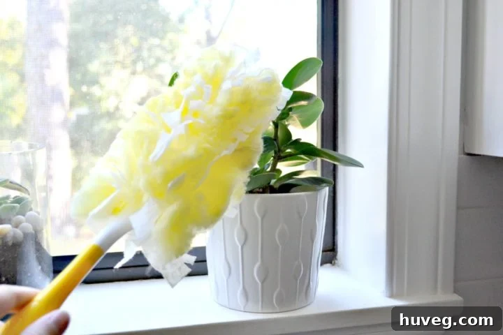 I use Swiffer duster on smaller plants too - it sweeps down each leaf quickly and has less maintenance