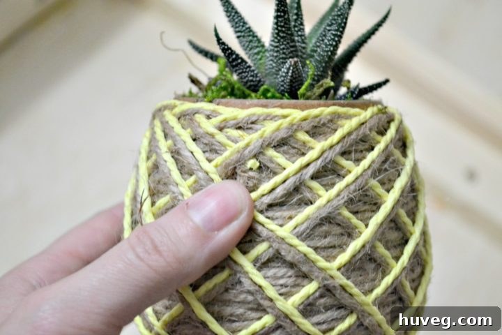 closeup of placement for holes on hanging planter