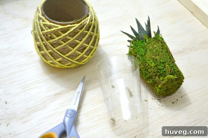 separate plant from pot