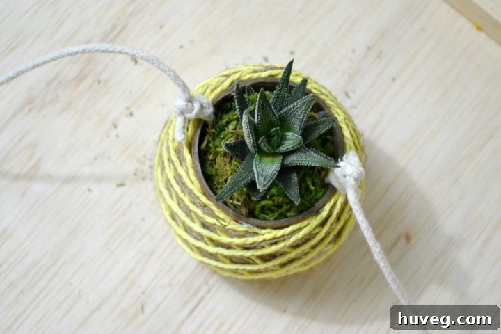 closeup of topside of hanging planter