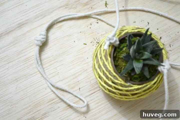 top loop knot on hanging planter