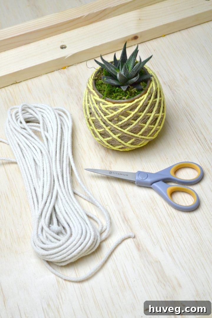 supplies for easy hanging planters