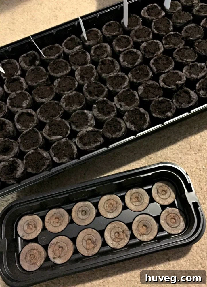 Jiffy seed starter greenhouse