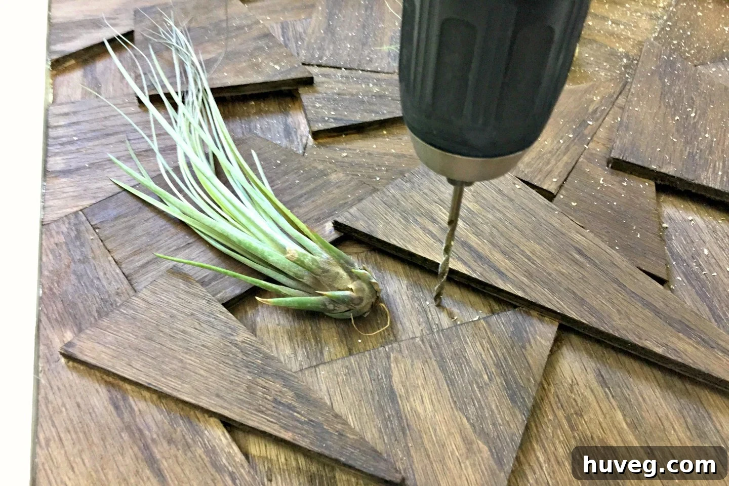 I precisely drilled small holes into the reclaimed wood artwork, preparing the anchor points for the wire that would secure my cherished air plants.