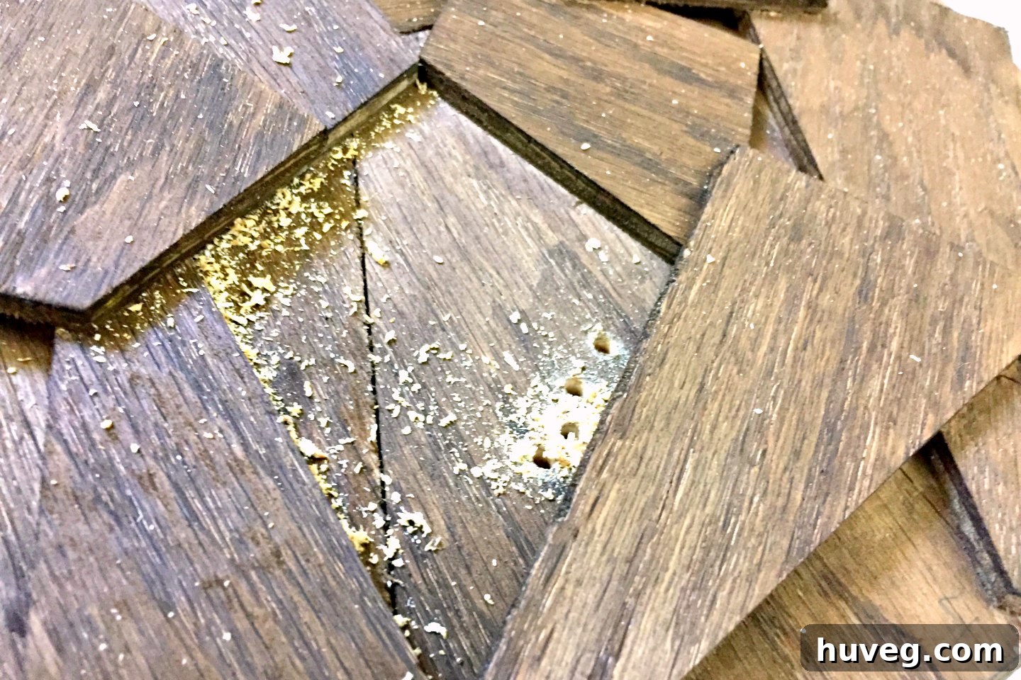For each air plant, I meticulously drilled two small holes into the reclaimed wood artwork, ensuring precise and secure placement.