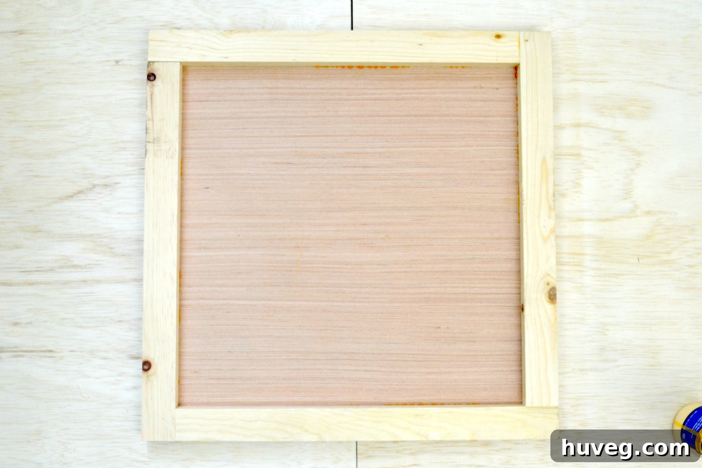 The resilient scrap plywood forms a perfect, eco-friendly backing for this stunning and straightforward DIY air plant wall art project.