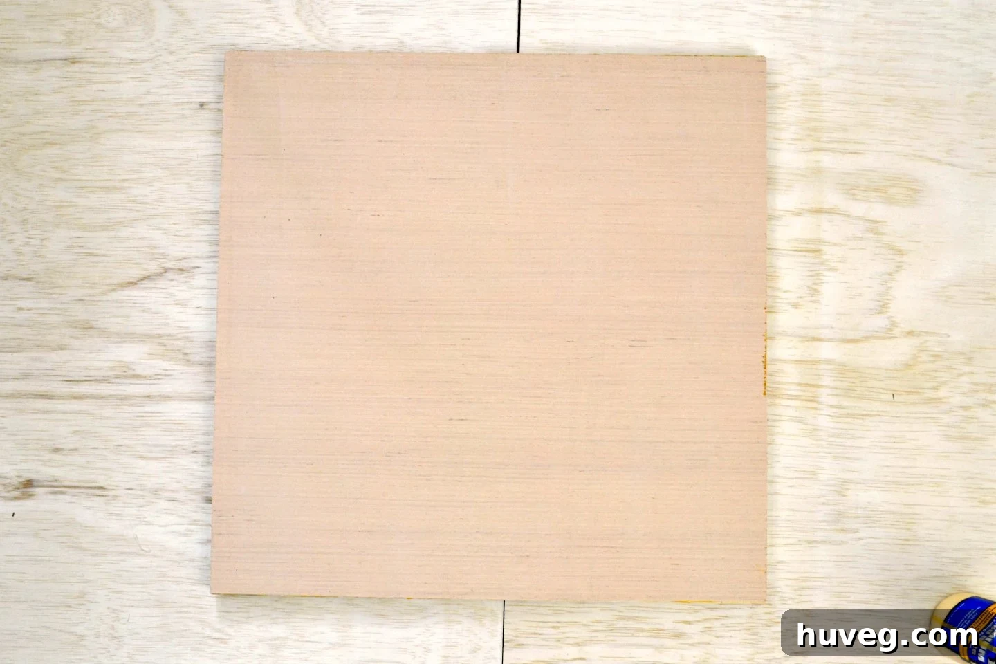 This unassuming wooden canvas, set against a warm wooden background, is poised to be transformed into a stunning piece of DIY living plant art.