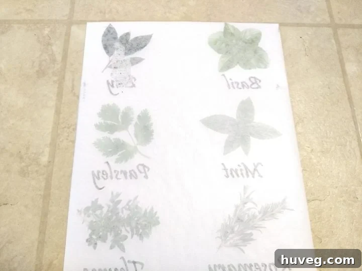 Wax paper with printed, mirrored herb designs showing delicate ink for transfer