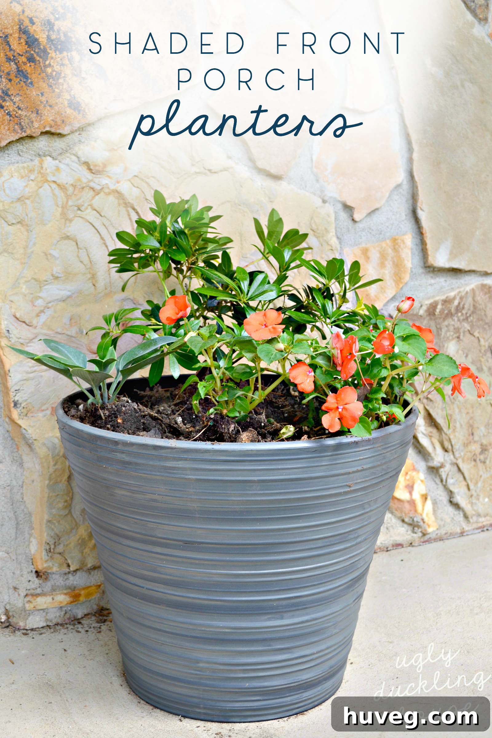 Shaded container garden on a covered porch, featuring beautiful and easy-care plants