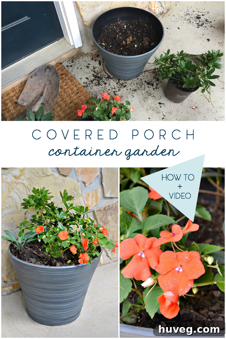 Covered porch container garden with shade-loving plants and easy care tips, including how-to guide and video tutorial