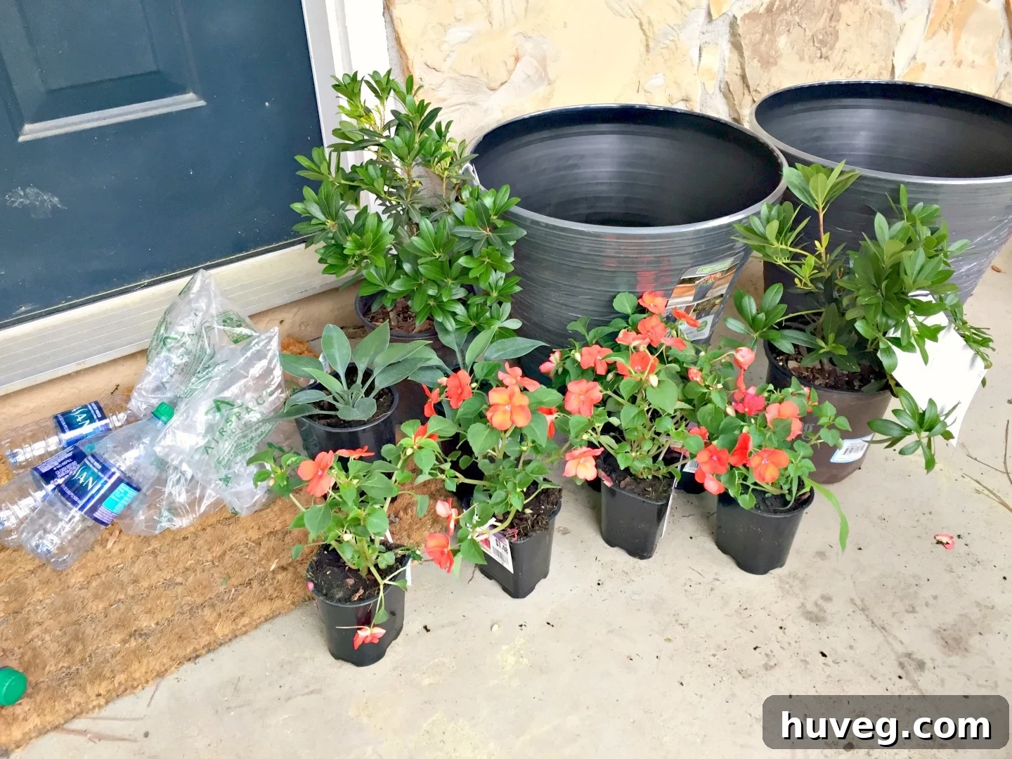 Newly planted containers on a front porch featuring a mix of upright, mounding, and colorful plants