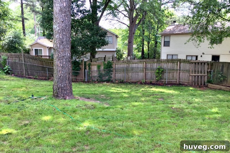 A pristine green backyard with well-maintained grass, showing the gentle slope towards the back.