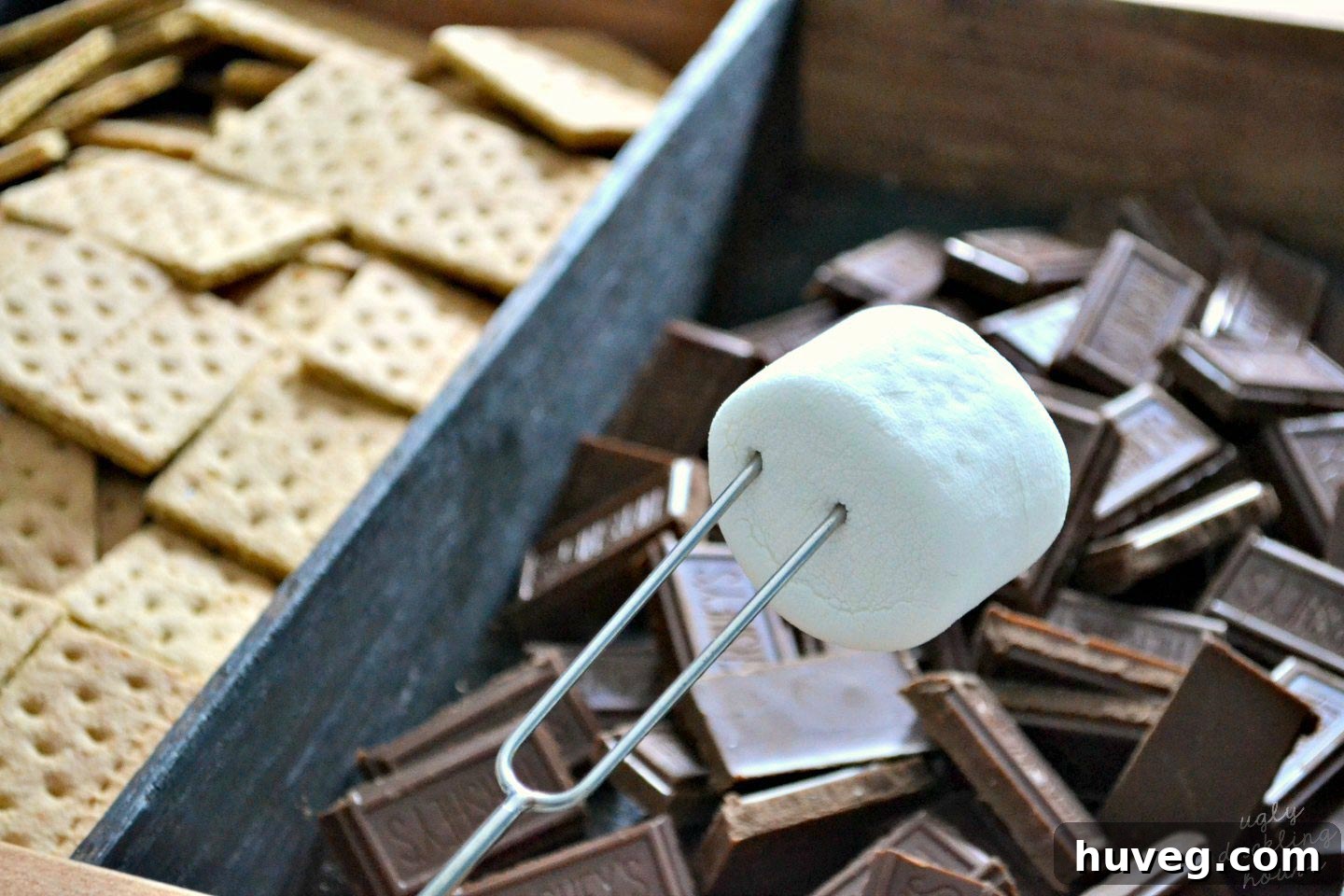 A marshmallow on a roasting stick, ready to toast and pair with chocolate and graham crackers.