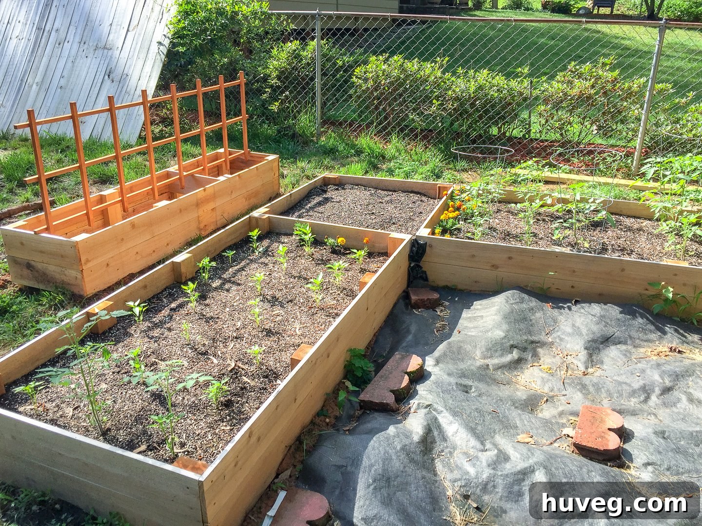 new vegetable garden bed area in back yard