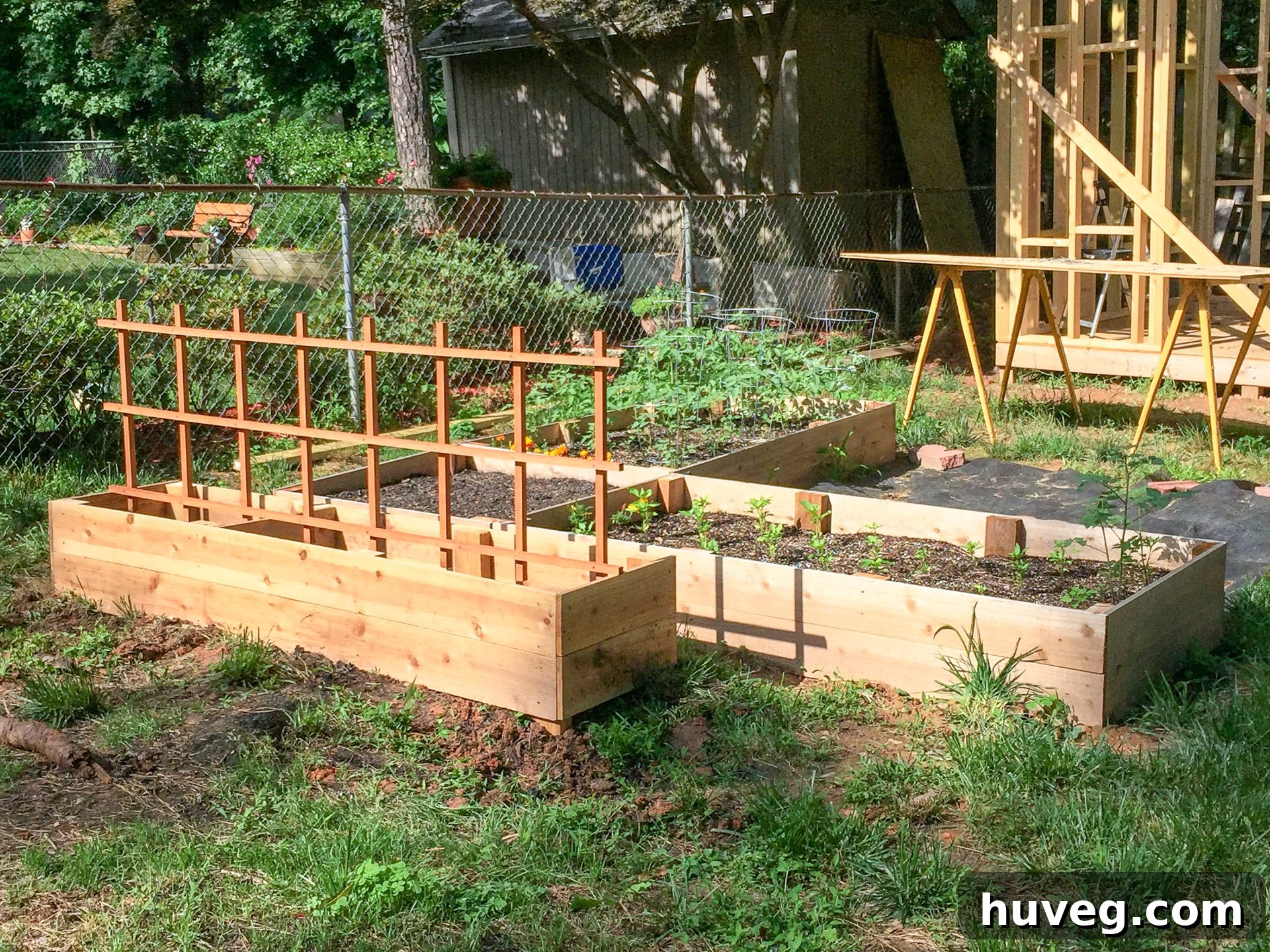 New garden bed area with cucumber trellis - shed frame in the background