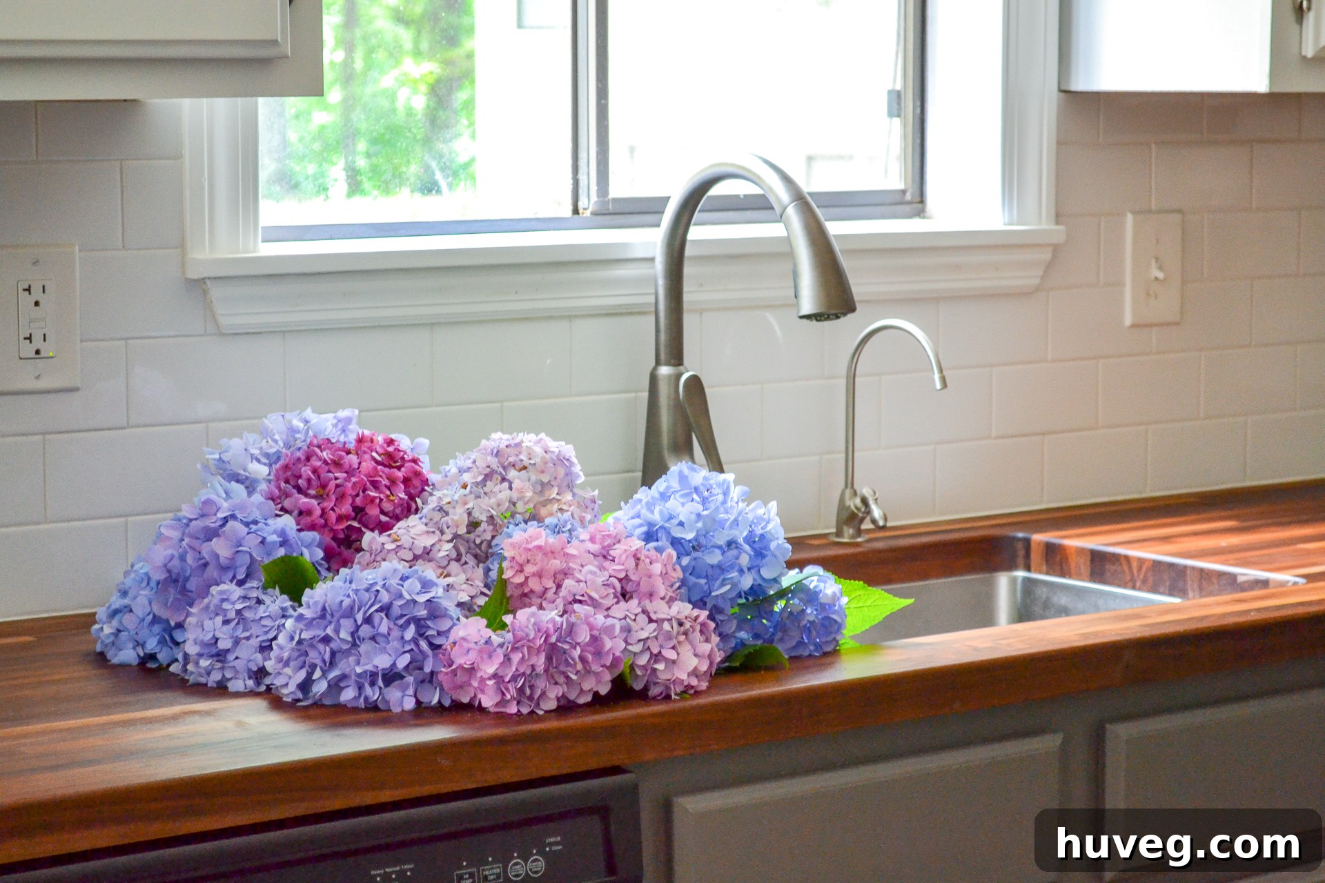 A beautiful cluster of freshly cut hydrangeas in varying shades of pink, purple, and blue, carefully placed in a sink, ready to be arranged into a stunning indoor bouquet.
