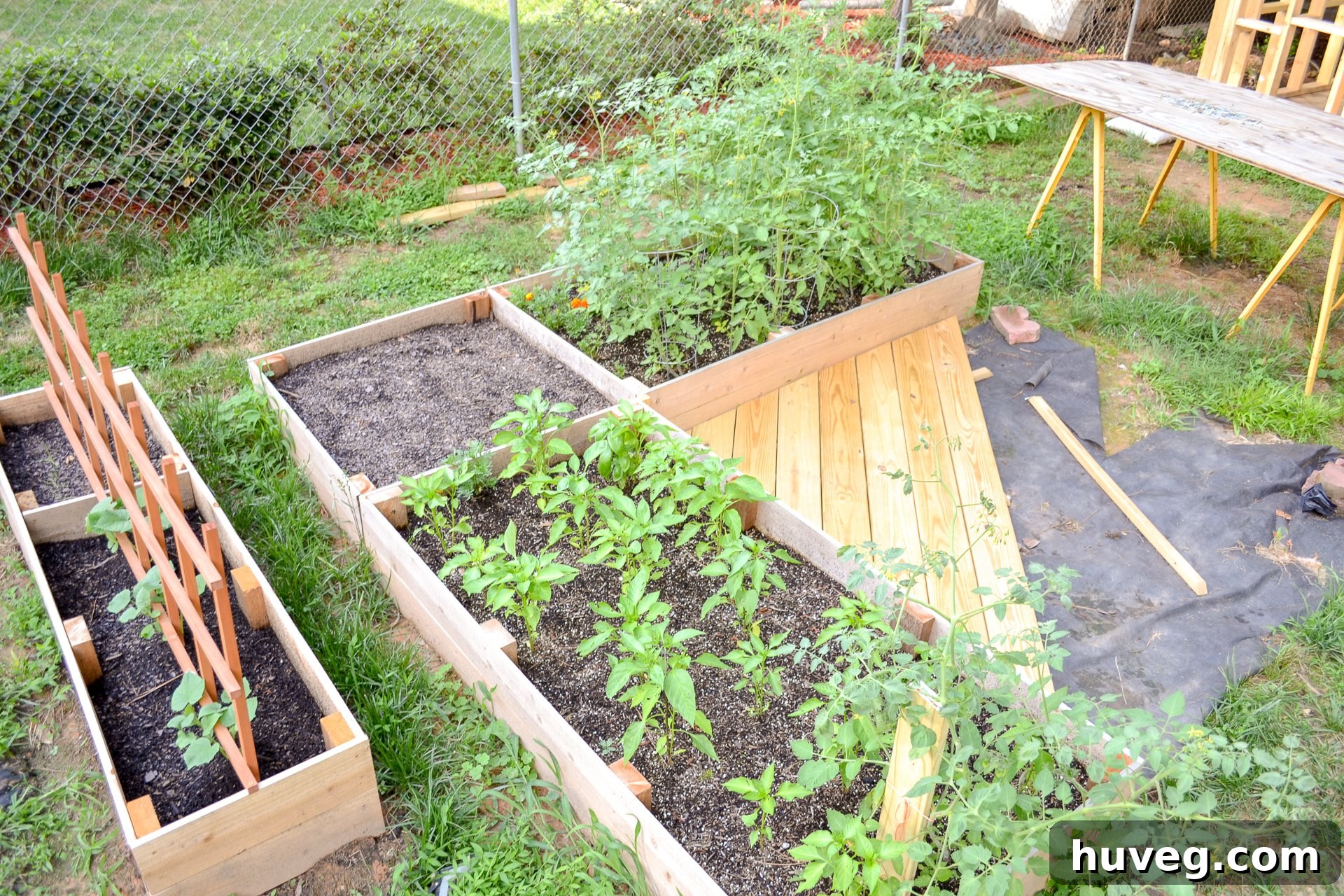 overall look of vegetable garden