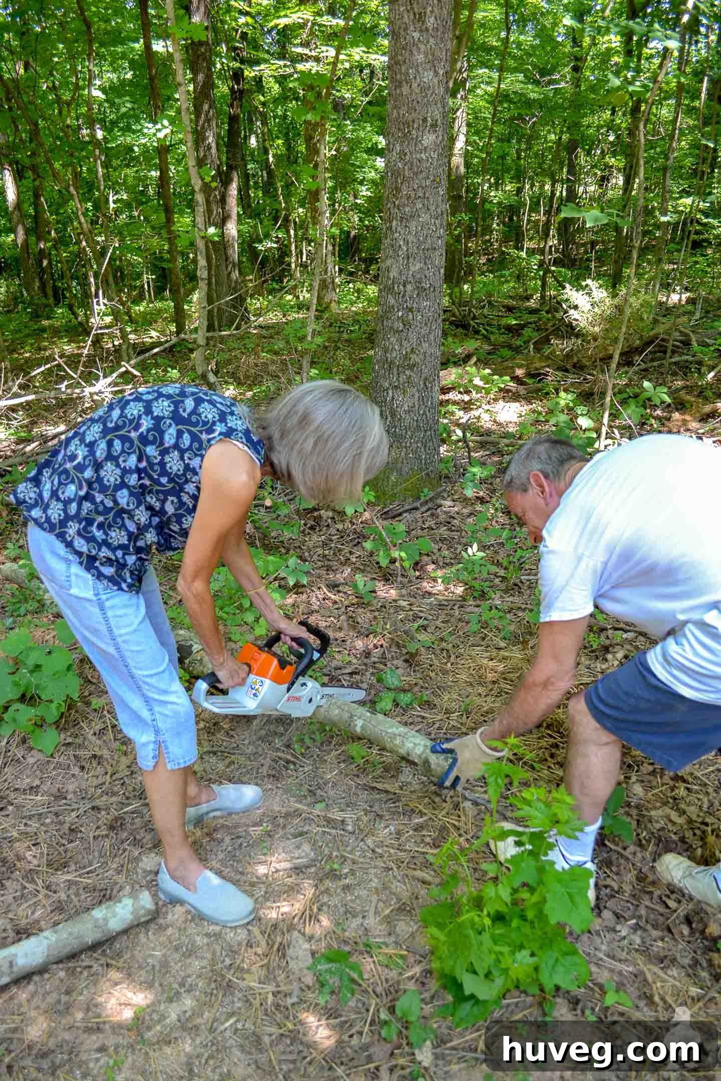 Mr. Carter instructing Mrs. Carter on the proper technique for using a chainsaw to cut logs, emphasizing safety and control.