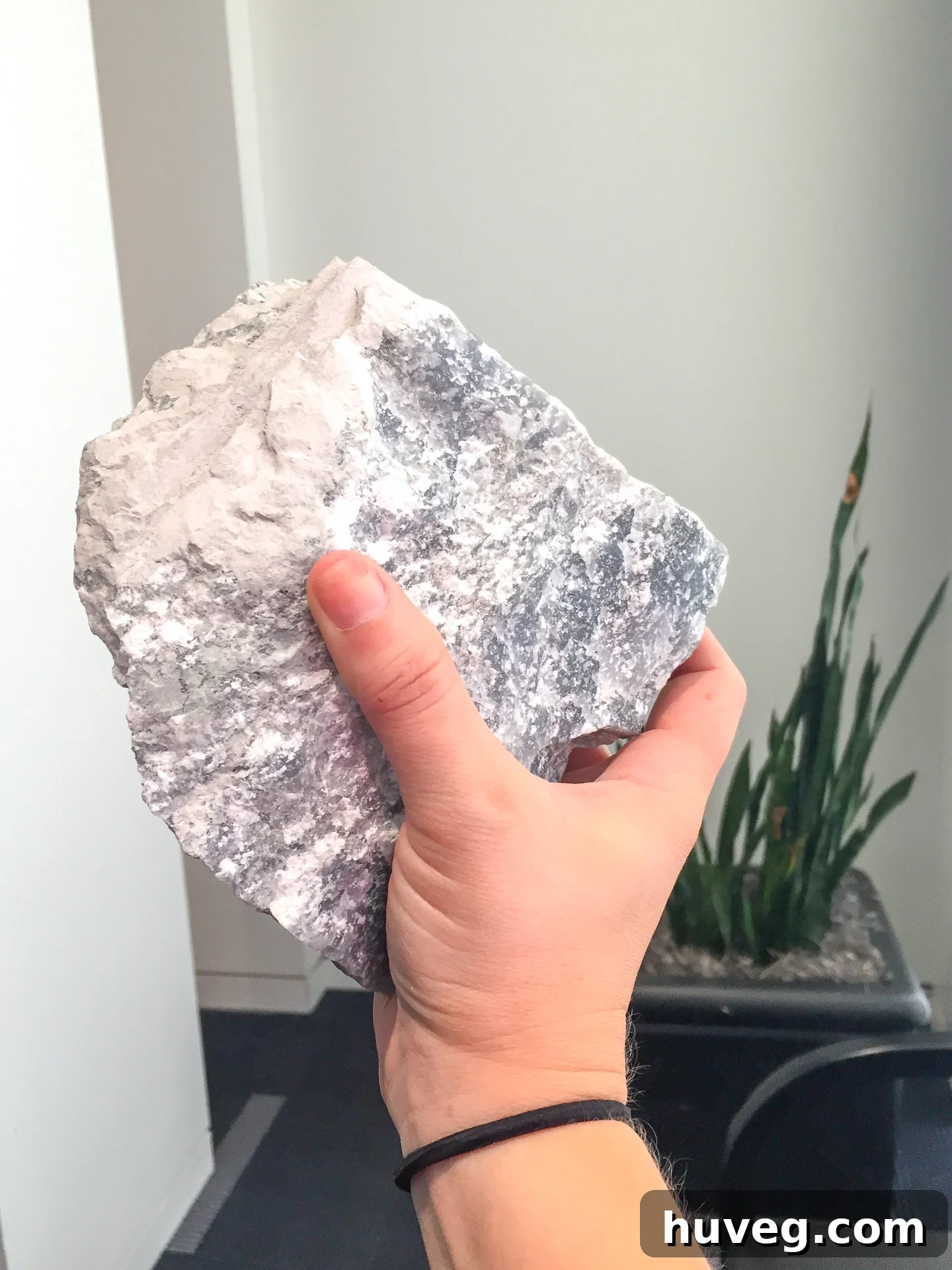 Holding piece of quarried gypsum