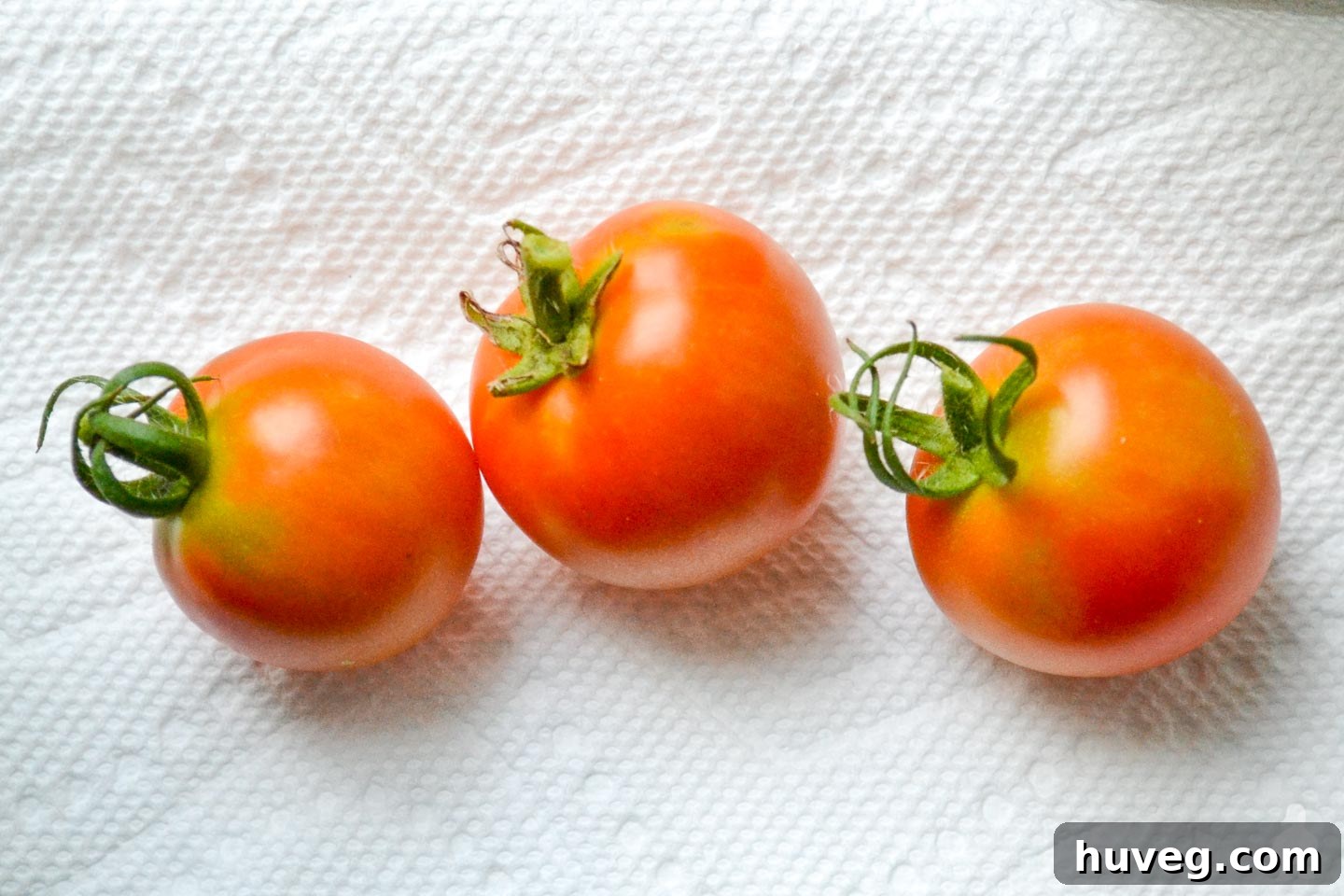 laying out tomatoes on windowsill to ripen