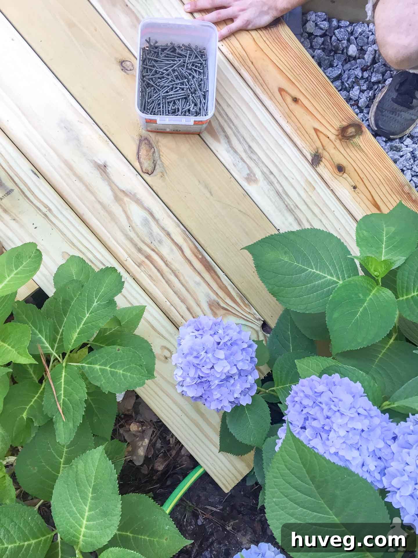hydrangeas interfering with deck install