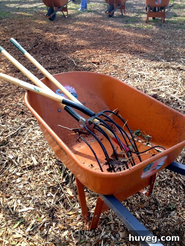 Empty wheelbarrow sitting in a park