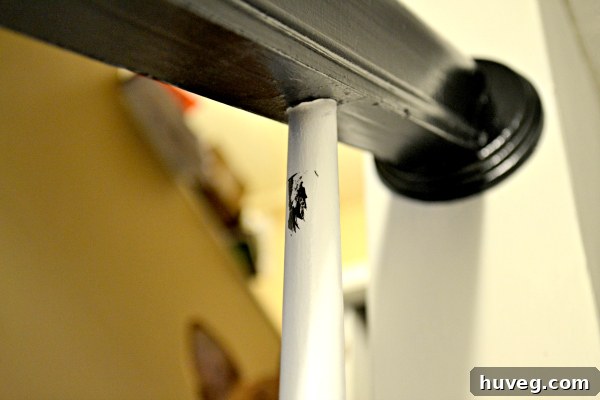 A playful puppy's ear peeking into a photo of paint cans and DIY tools, adding a touch of humor to the home renovation process.