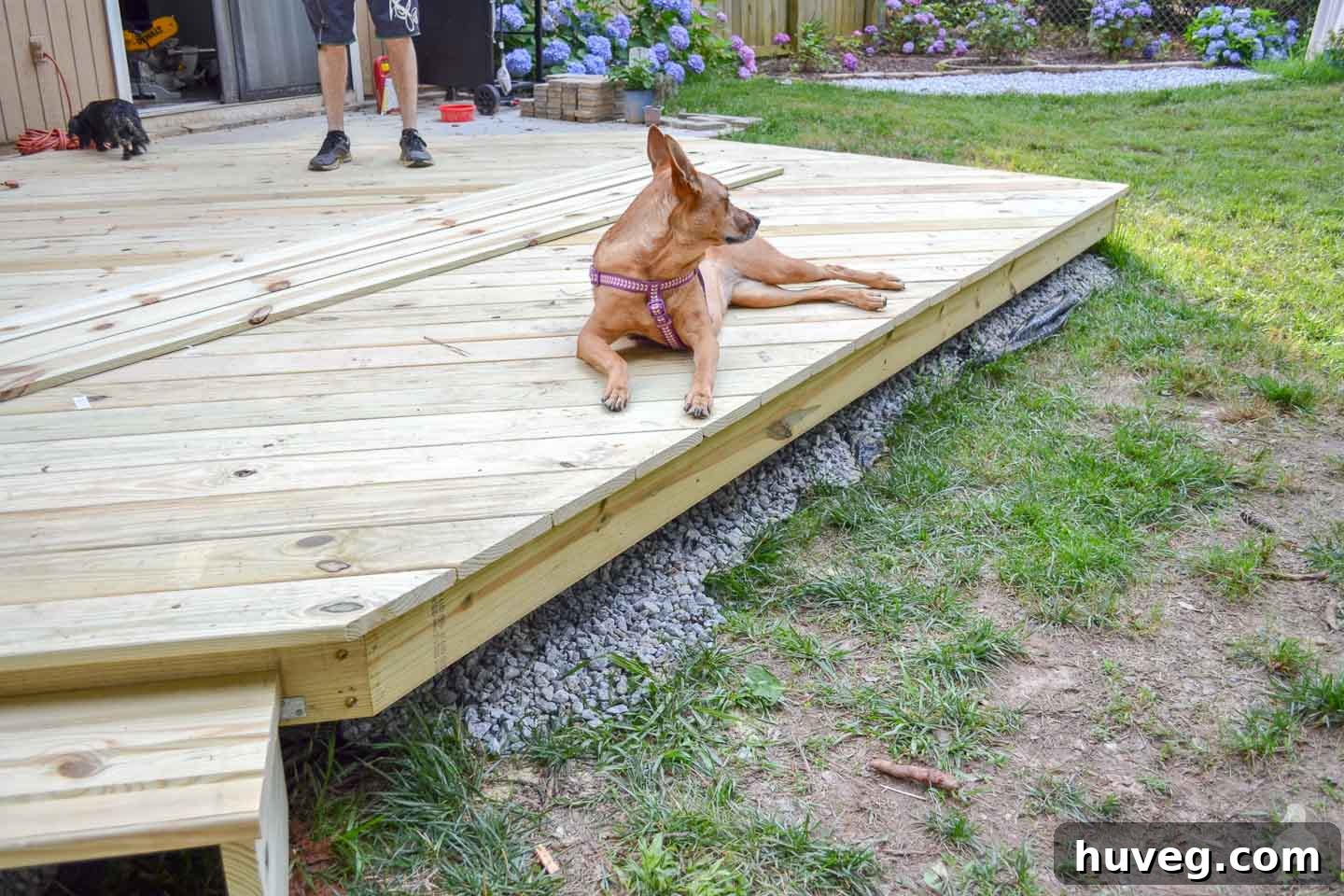 Charlie enjoying finished deck